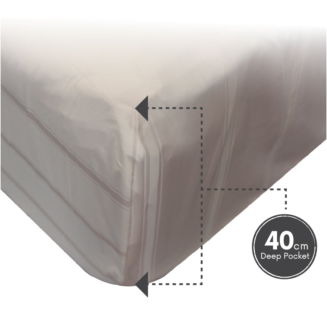 Ann Taylor 100% Combed Cotton Sateen Modern Ease Fitted Bedsheet Set -  980TC