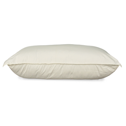 Ann Taylor Pure Cotton Pillow