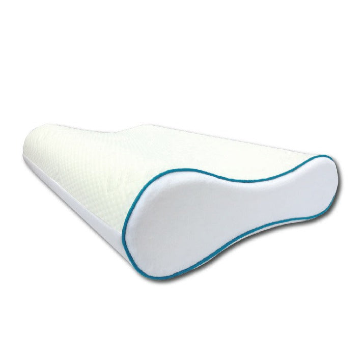 Ann Taylor Ultra Cool Memory Pillow