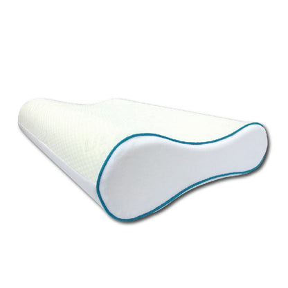 Ann Taylor Ultra Cool Memory Pillow