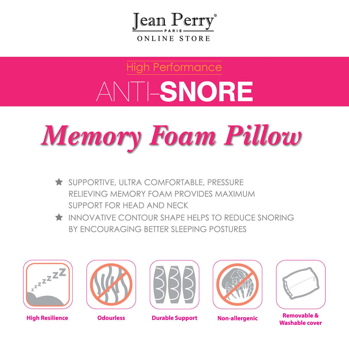 Ann Taylor Anti Snore Memory Pillow