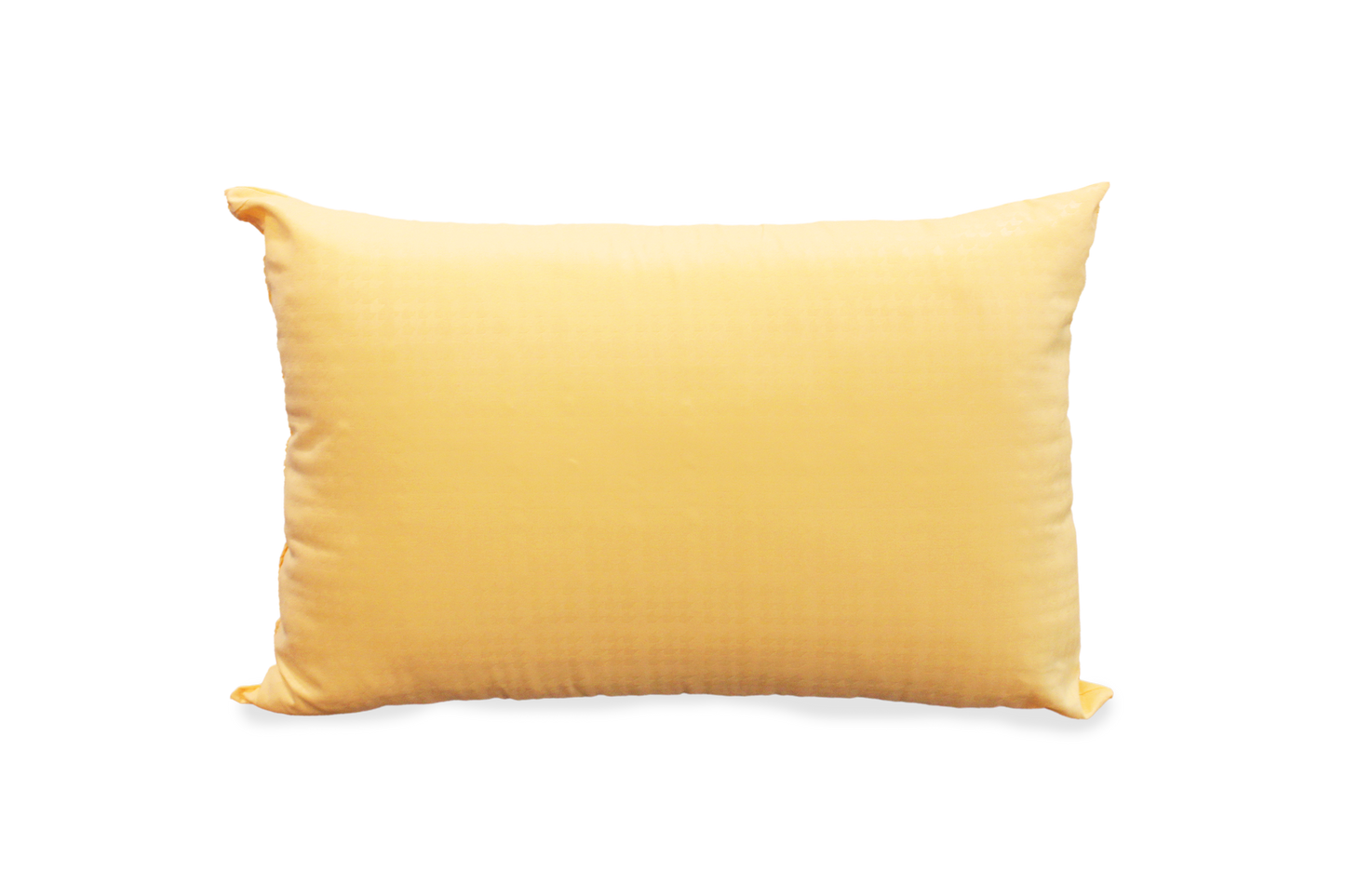 Ann Taylor My Cozy Pillow