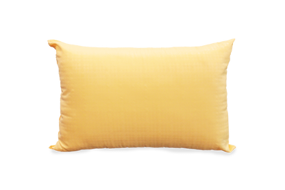 Ann Taylor My Cozy Pillow