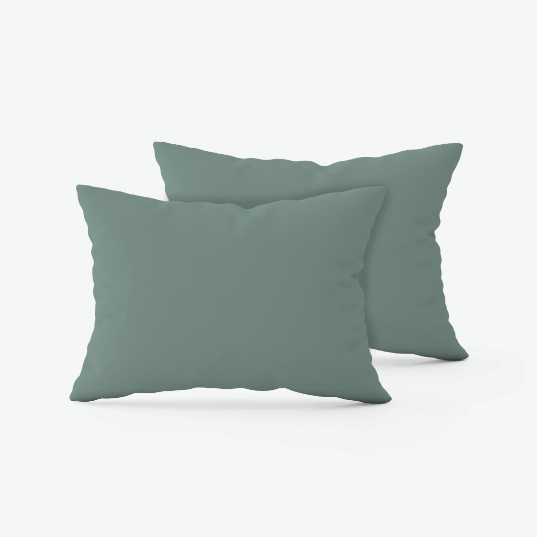 Novelle Cotton Non-Iron Spectrum Colours 2 pcs Pillow Case - 900TC B8