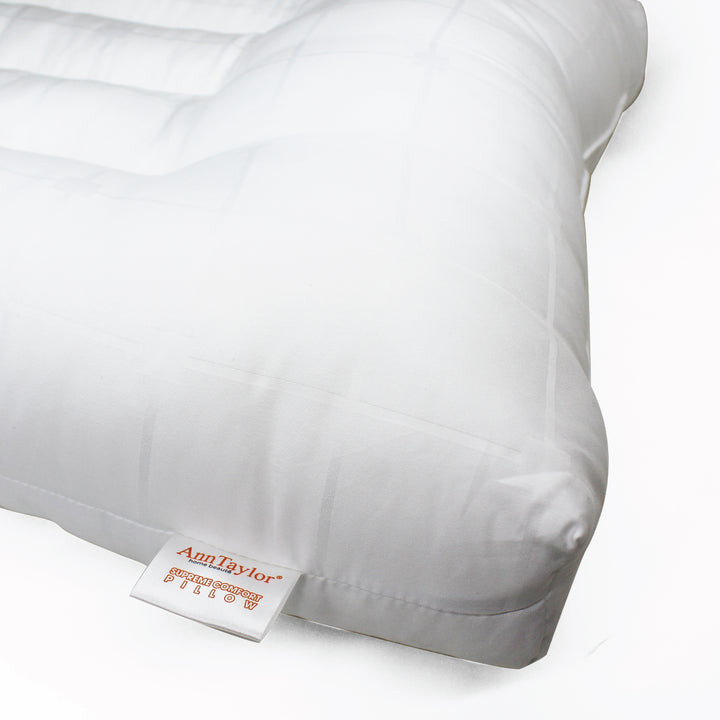 Ann Taylor Supreme Comfort Pillow