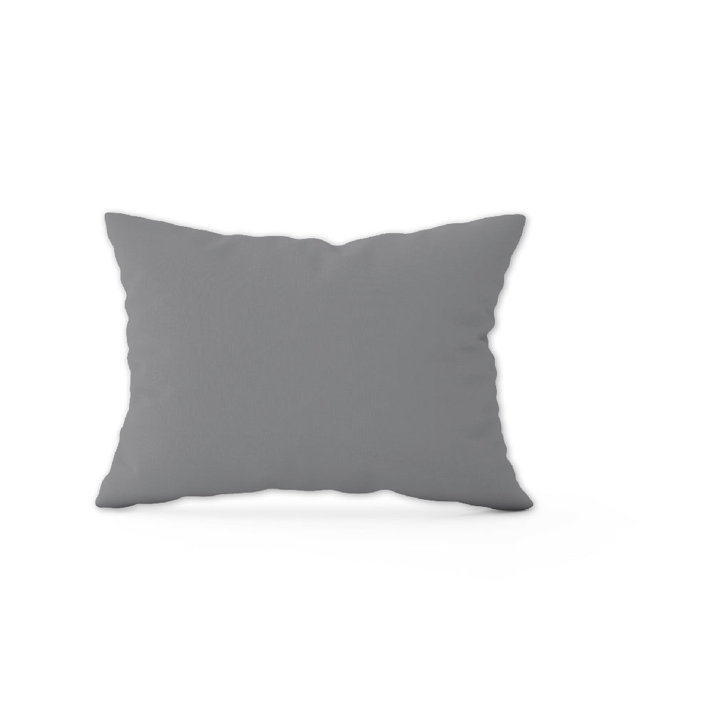 Ann Taylor The Basic 2pcs Pillowcase - Cotton Non-Iron 780TC