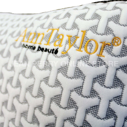 Ann Taylor Bamboo Charcoal Cuboid Memory Pillow