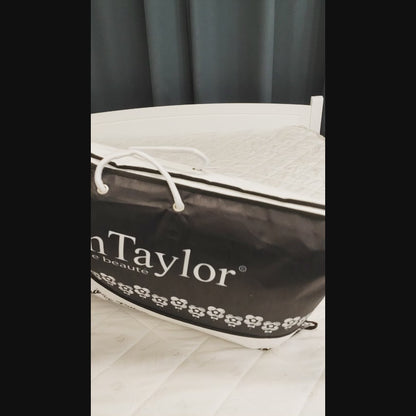 Ann Taylor Down Alternative Pillow